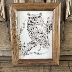 Hand Carved Perched Owl on Wood Board Signed Artist McConnell 1975 Framed 5x7
